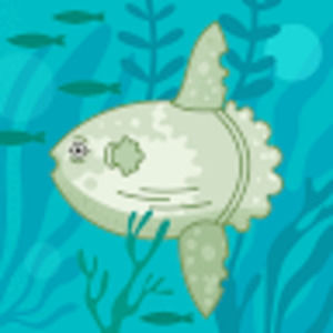 Meet your Posher, Gavin